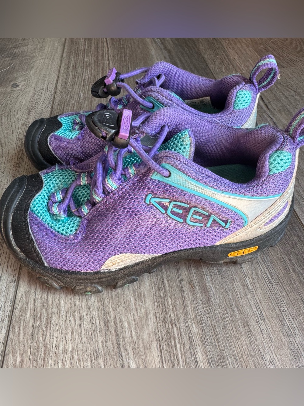 KEEN Kids' Purple & Teal Hiking Shoe